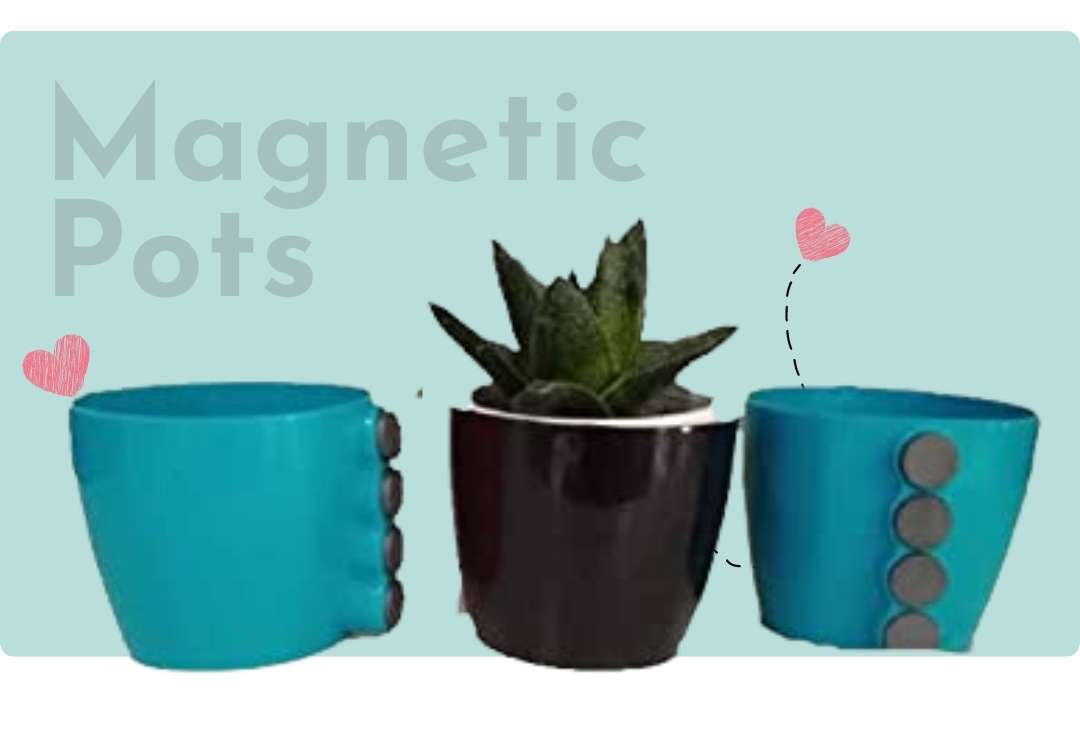 Magnetic Pots