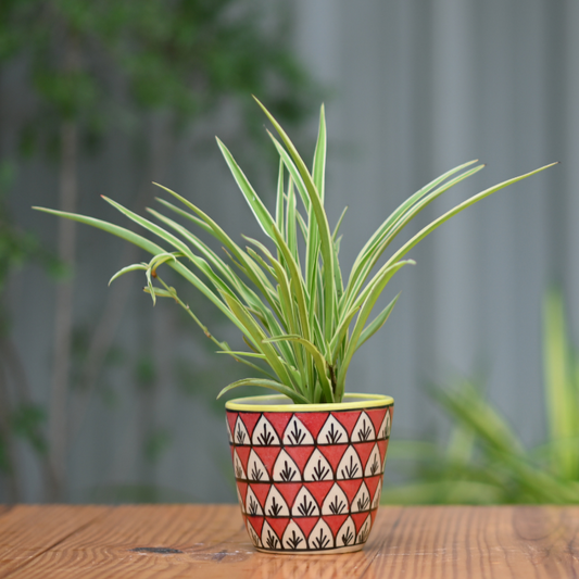 Ceramic Classic Fern Print Pot/Planter For Plants