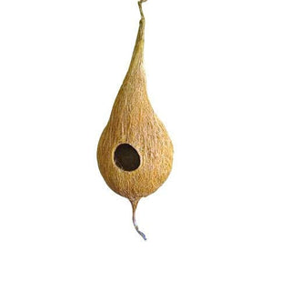 Bird Nest with Hanging Hole Made Coconut Shell (5m)