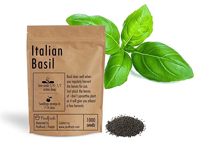 Buy Pindfresh Basil Green Seeds 1000 seeds at Best Price in India