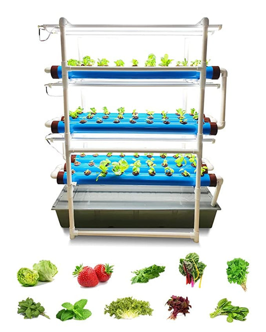 Pindfresh NFT Hydroponic Kit with Grow Ligths (For 81 Leafy Greens)