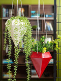 LLOKA Luxurious Fiberglass Hanging Pots & Planters - Akasa_Gcon_01