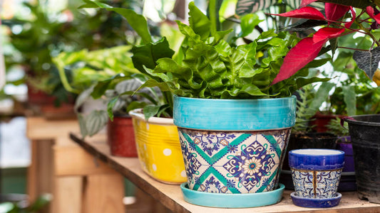 Top 10 Outdoor Planters