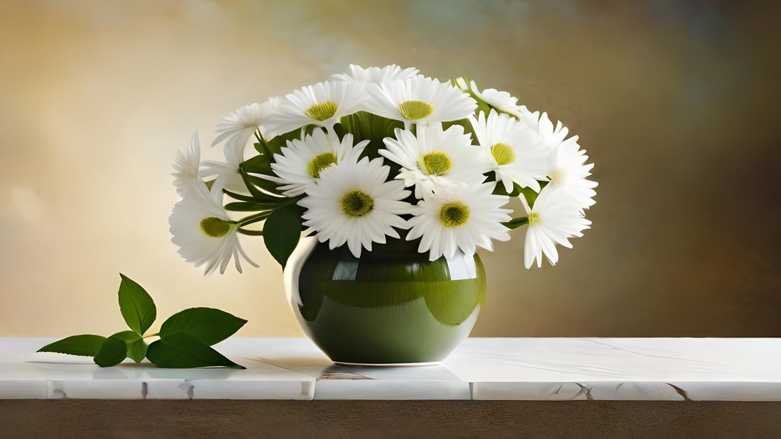 Top 10 Daisy Flower Plants In India