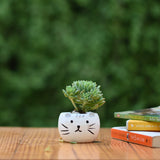 Ceramic Kitty Cat Pot/Planter