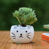 Ceramic Kitty Cat Pot/Planter