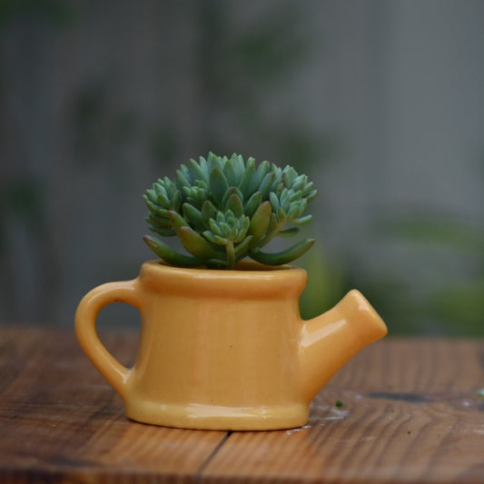 Ceramic Baby Watering Can Pot For Plants