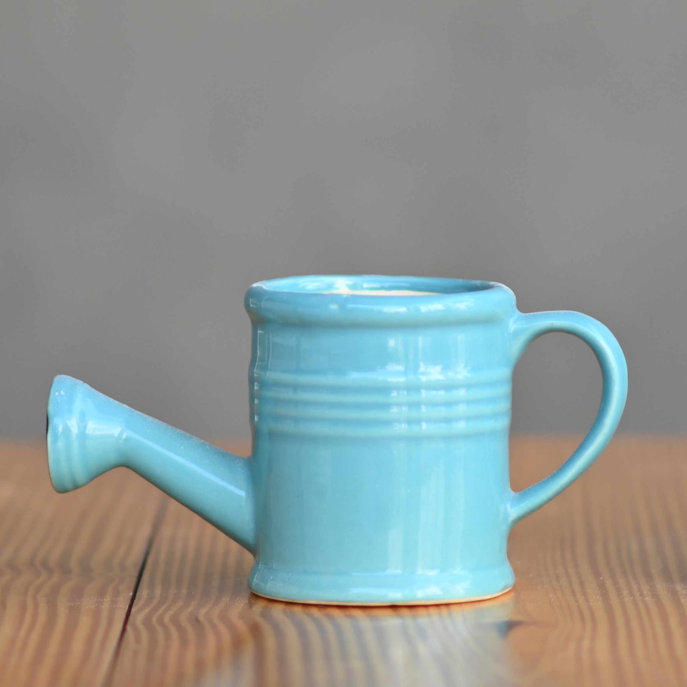 Ceramic Band Watering Can Pot