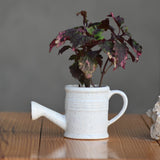 Ceramic Band Watering Can Pot