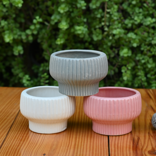 Ceramic Fruit Bowl Pot For Plants