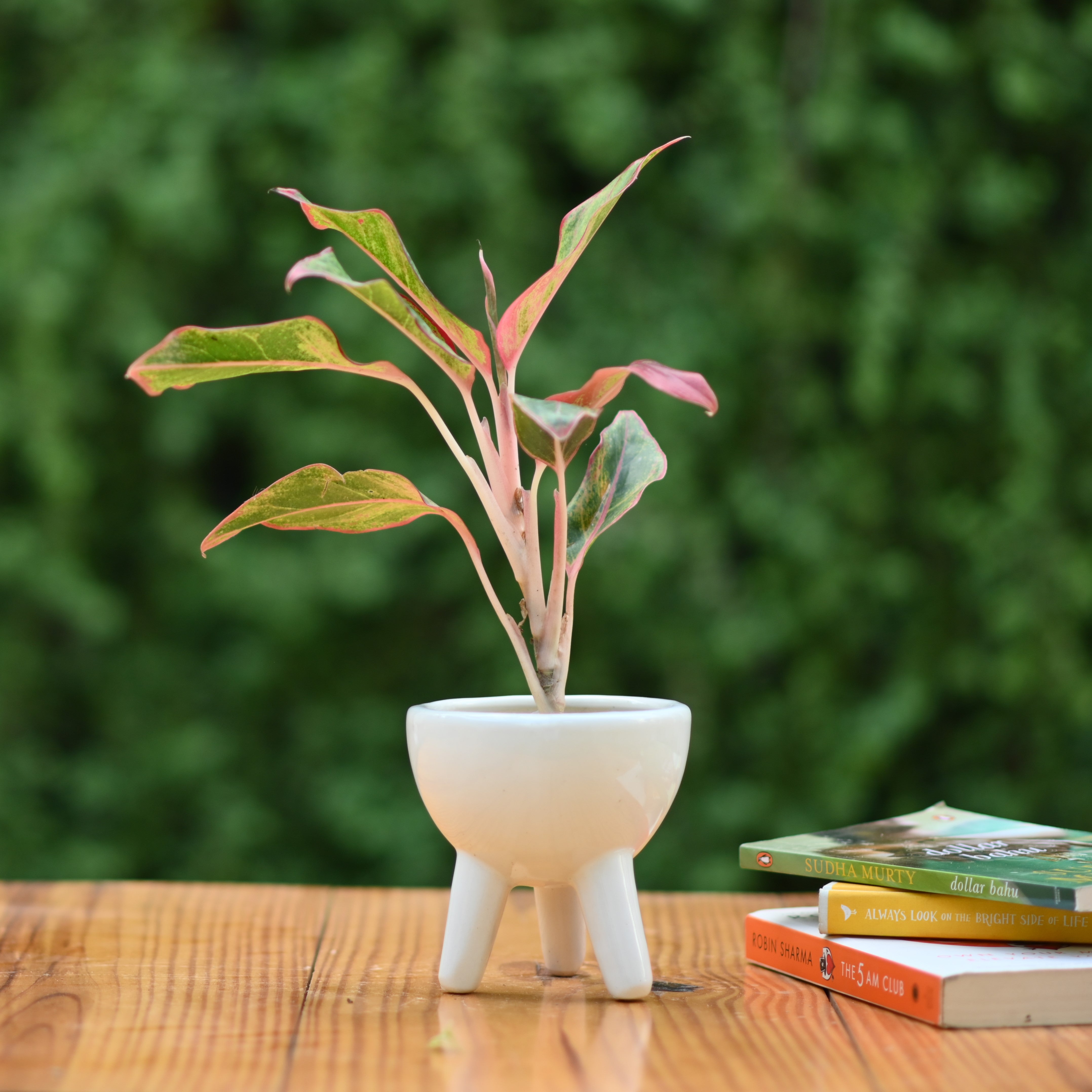 Ceramic Small Tripod Style Pot