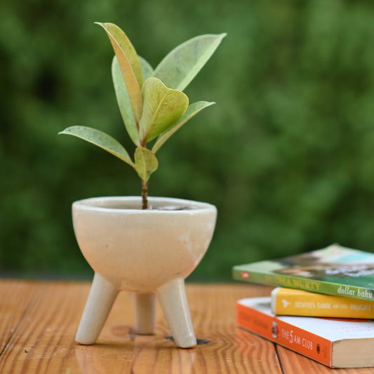 Ceramic Small Tripod Style Pot