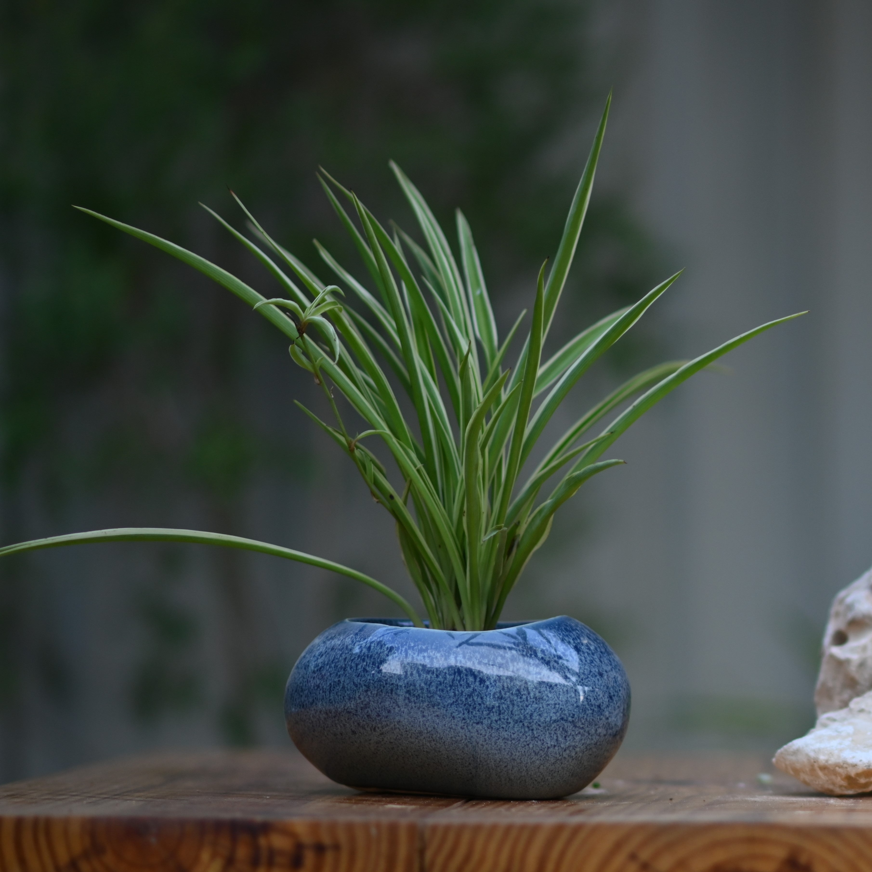 Ceramic Pebble Pot/Planter