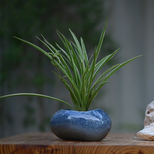 Ceramic Pebble Pot/Planter