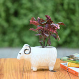 Ceramic Sheep Design Pot