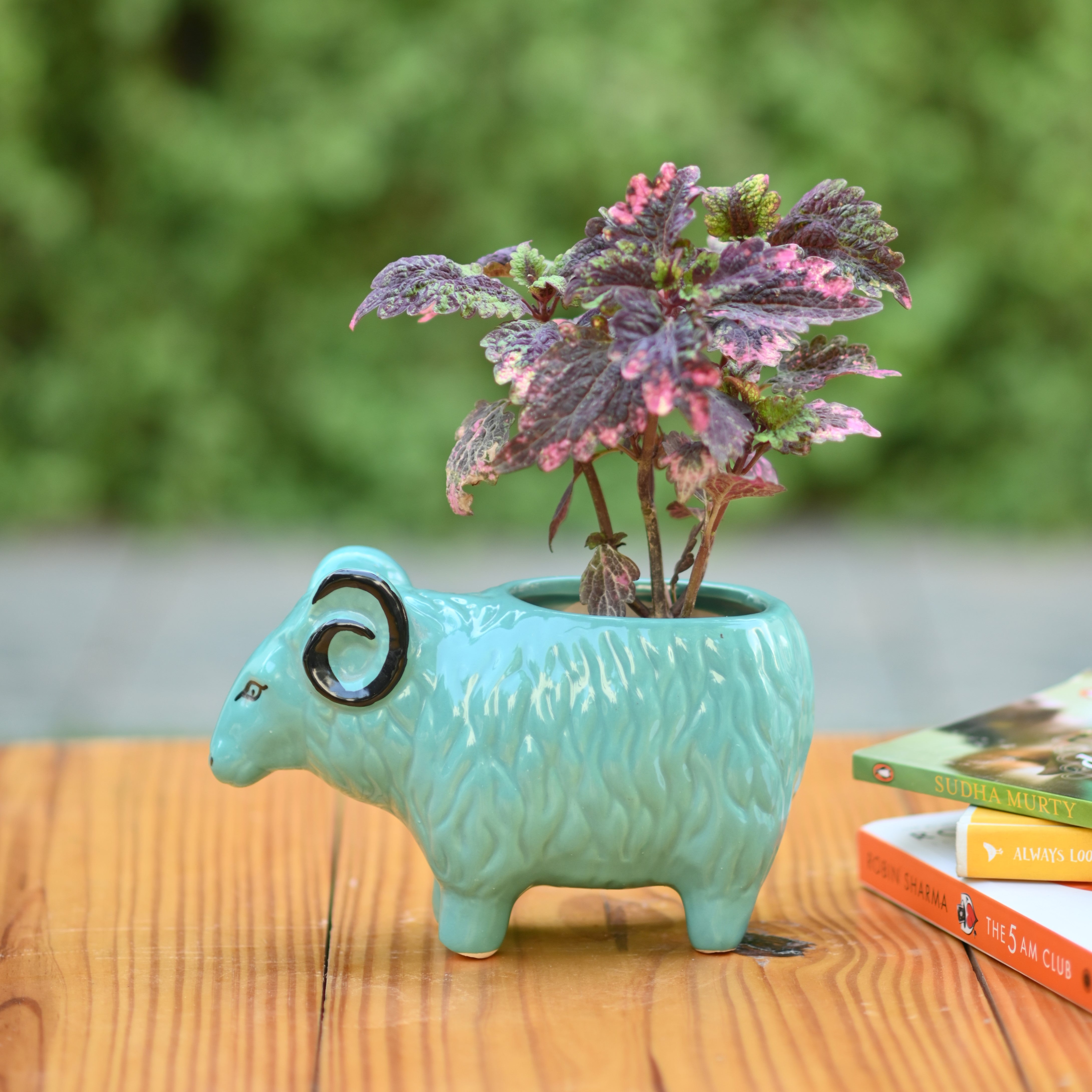 Ceramic Sheep Design Pot