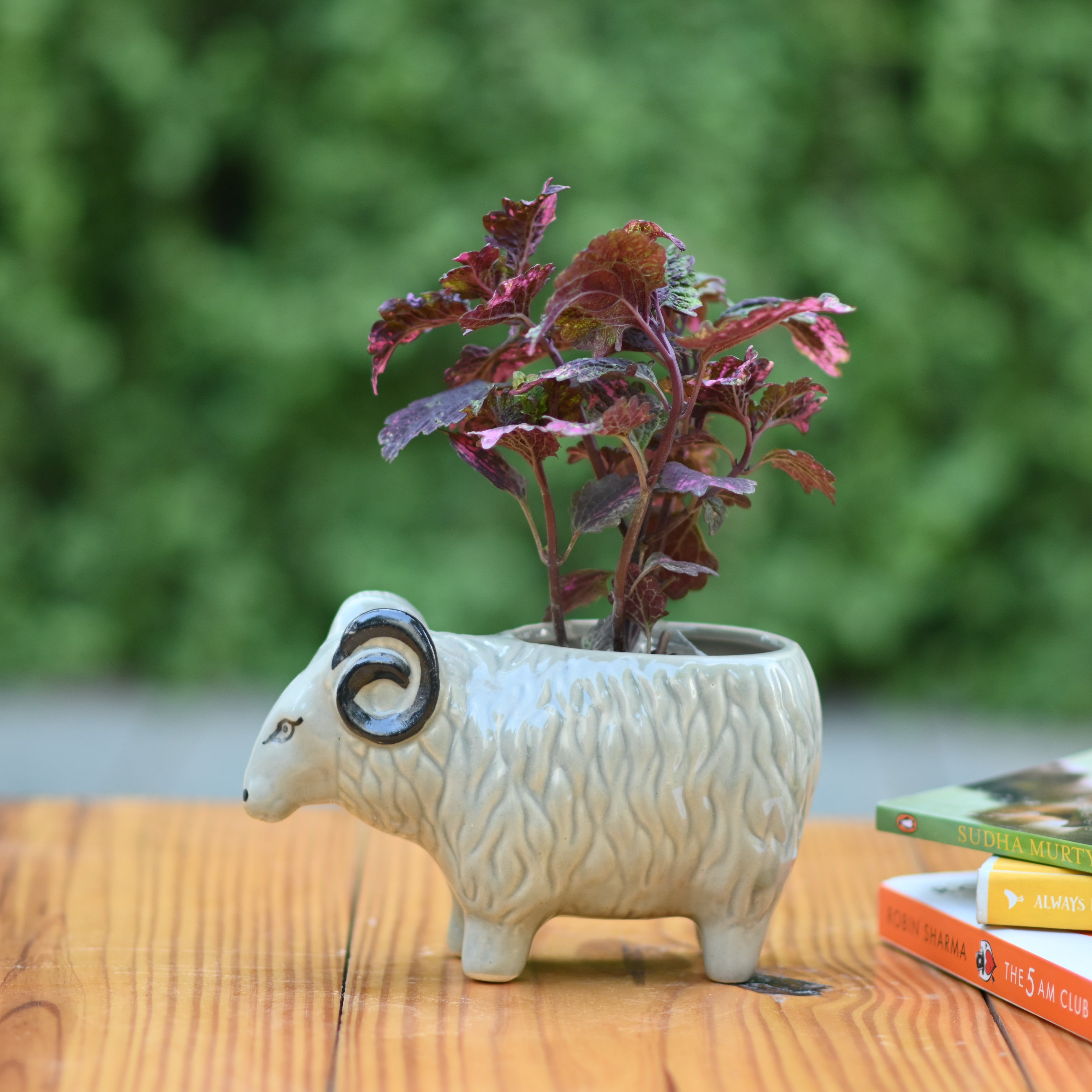 Ceramic Sheep Design Pot