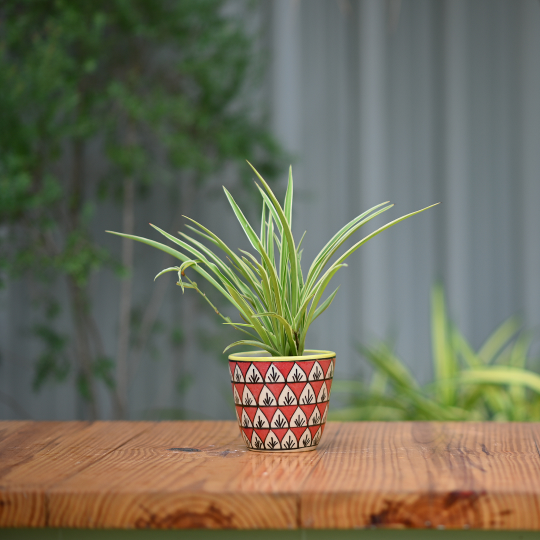 Ceramic Classic Fern Print Pot/Planter For Plants