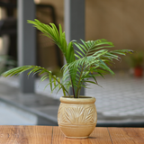 Ceramic Dholak Pot Leaf Pattern (Brown)