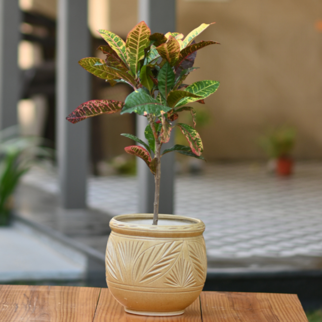 Ceramic Dholak Pot Leaf Pattern (Brown)