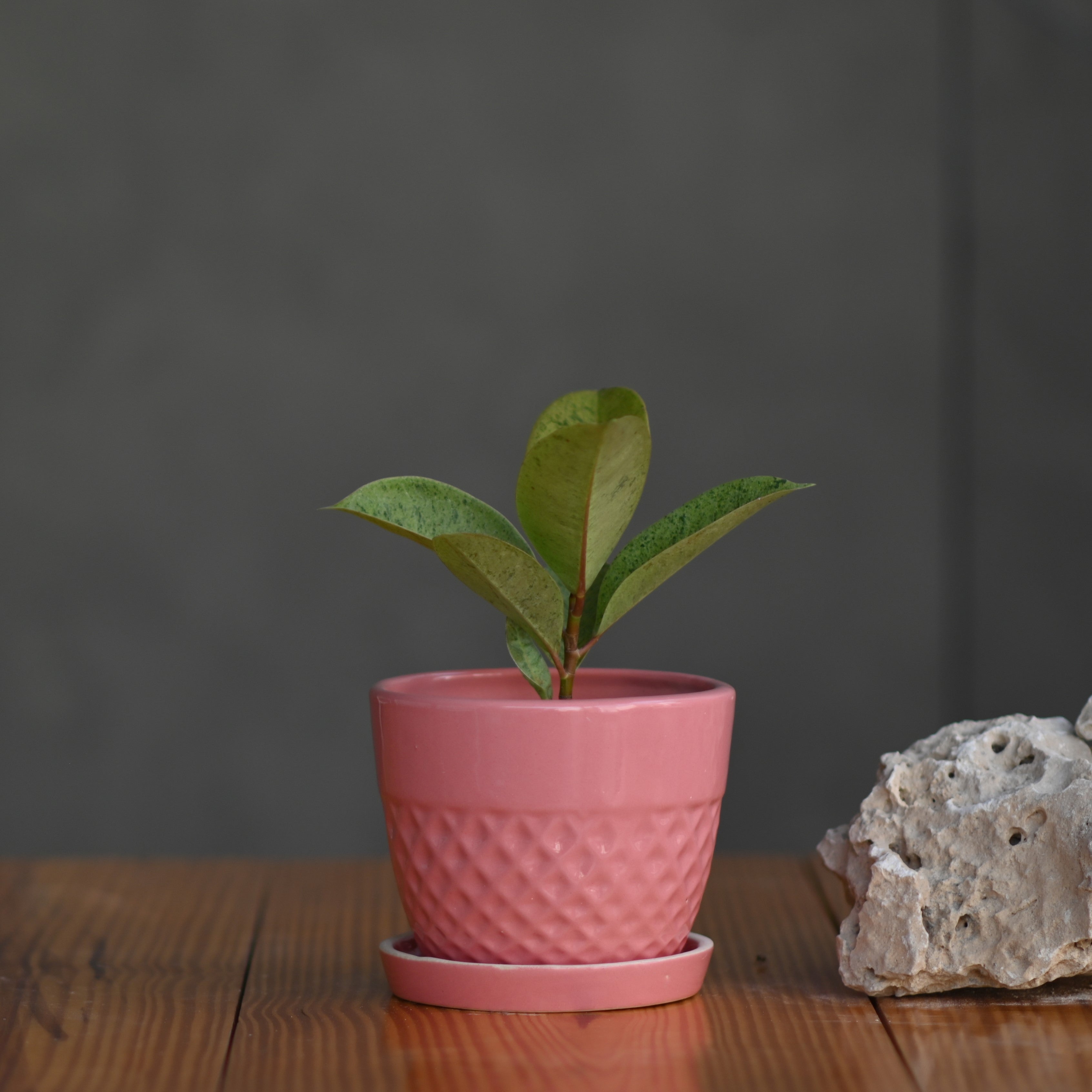 Ceramic Waffle Pot with Tray