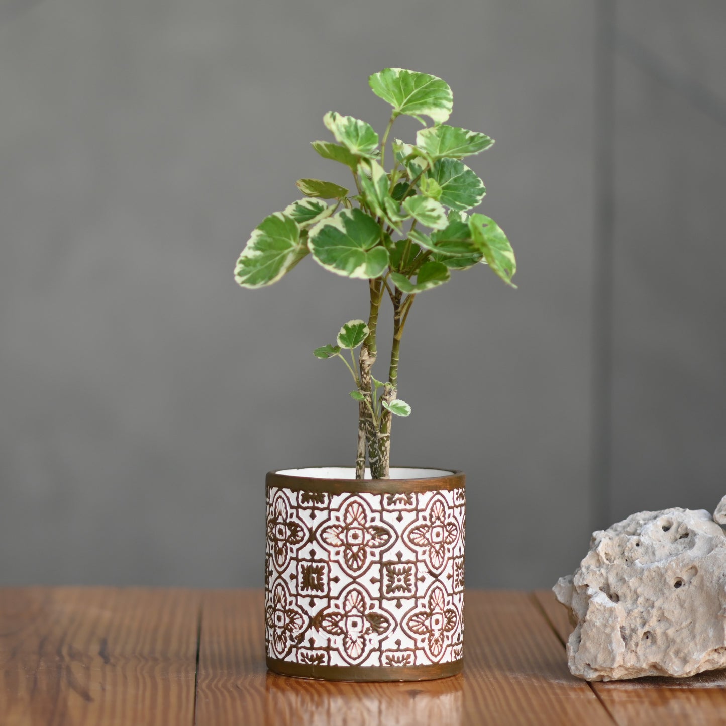 Ceramic Mandala Pot For Plants