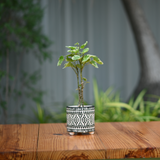 Ceramic Mandala Pot With Legs (Black)