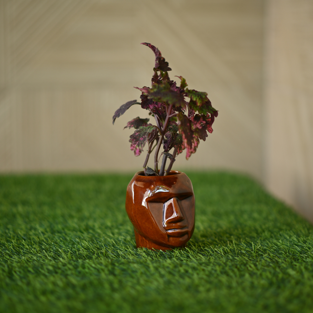 Ceramic Small Face Mask Pot/Planter