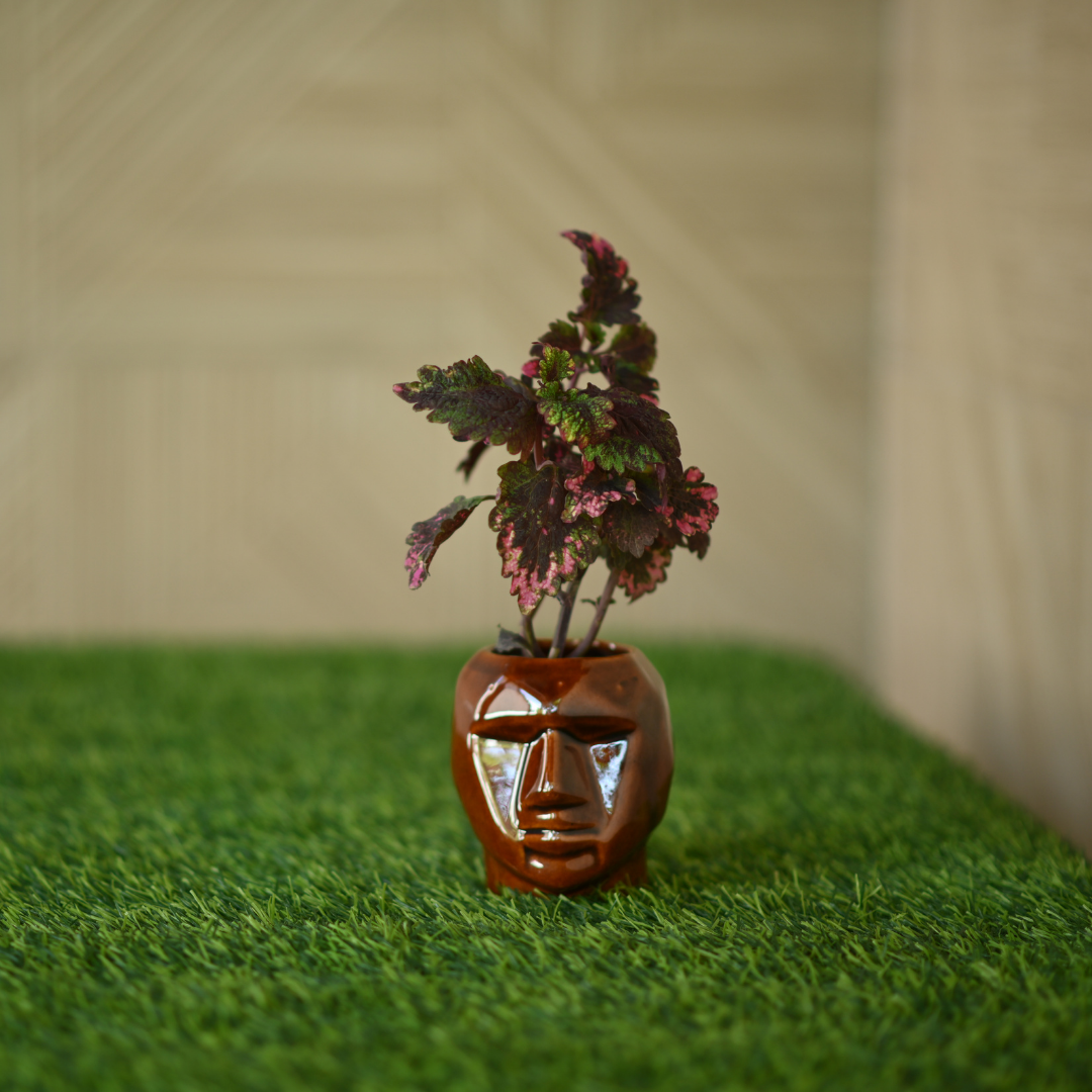 Ceramic Small Face Mask Pot/Planter