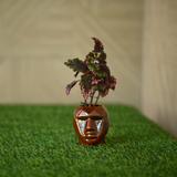 Ceramic Small Face Mask Pot/Planter