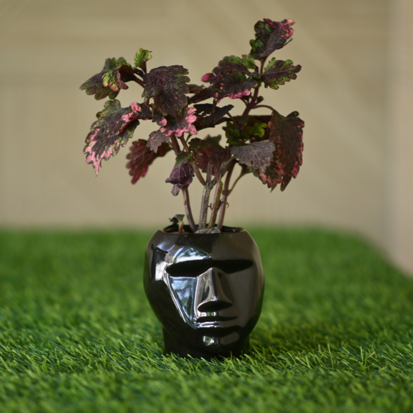 Ceramic Small Face Mask Pot/Planter