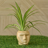 Ceramic Small Face Mask Pot/Planter