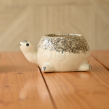 Ceramic Sitting Tortoise Pot/Planter