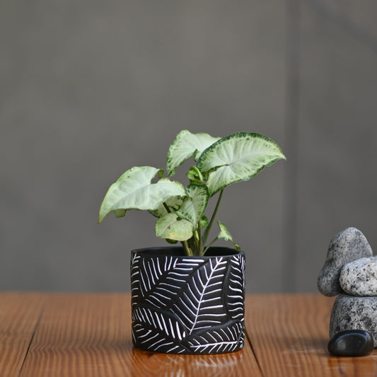 Ceramic Cylender Pot 3D Fern Leaf