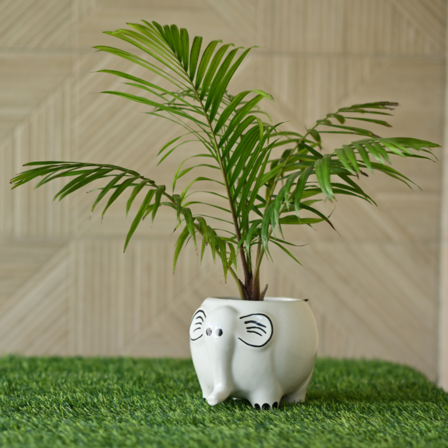 Ceramic Elephant Statue Pot