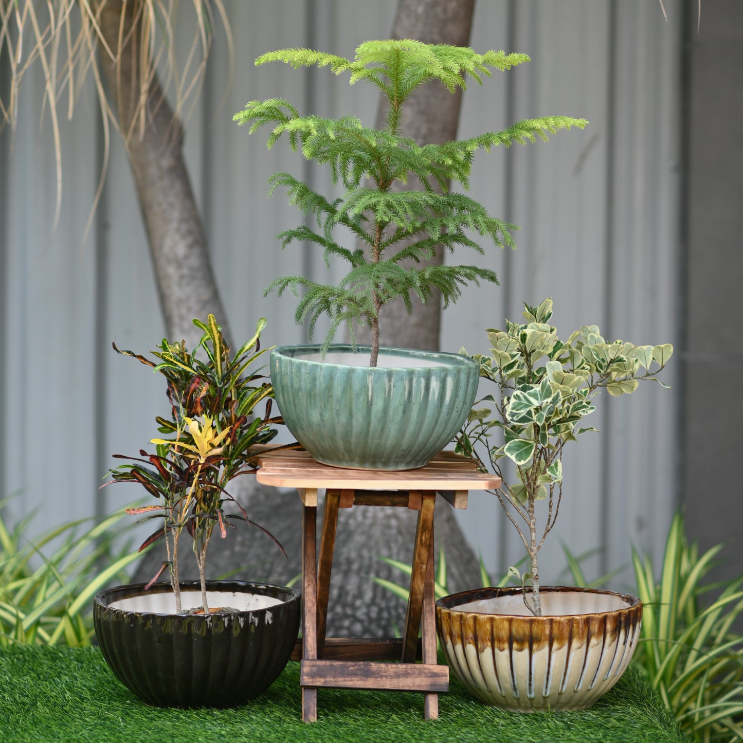 Ceramic Pond Style Pot/Planter