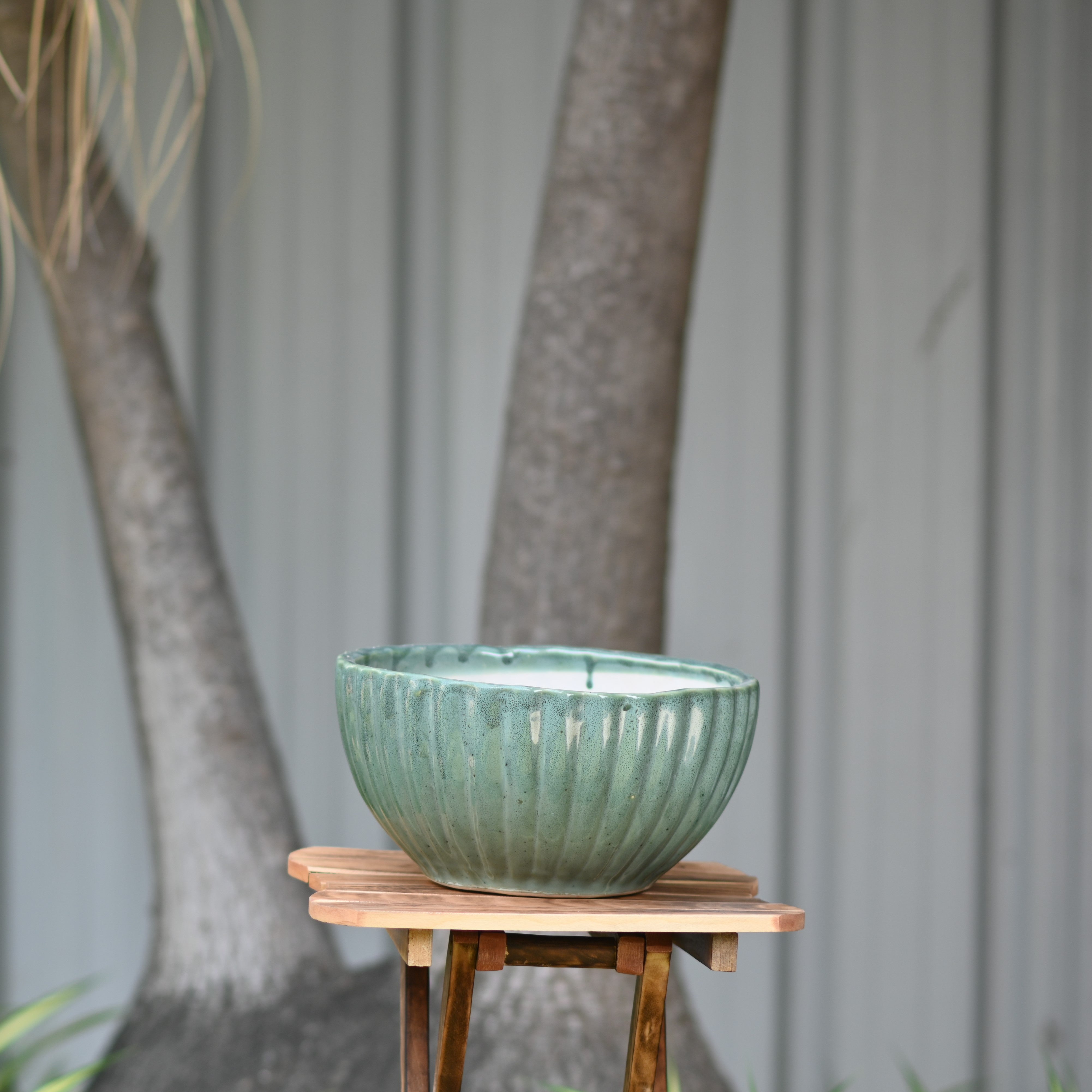 Ceramic Pond Style Pot/Planter