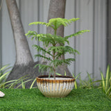 Ceramic Pond Style Pot/Planter