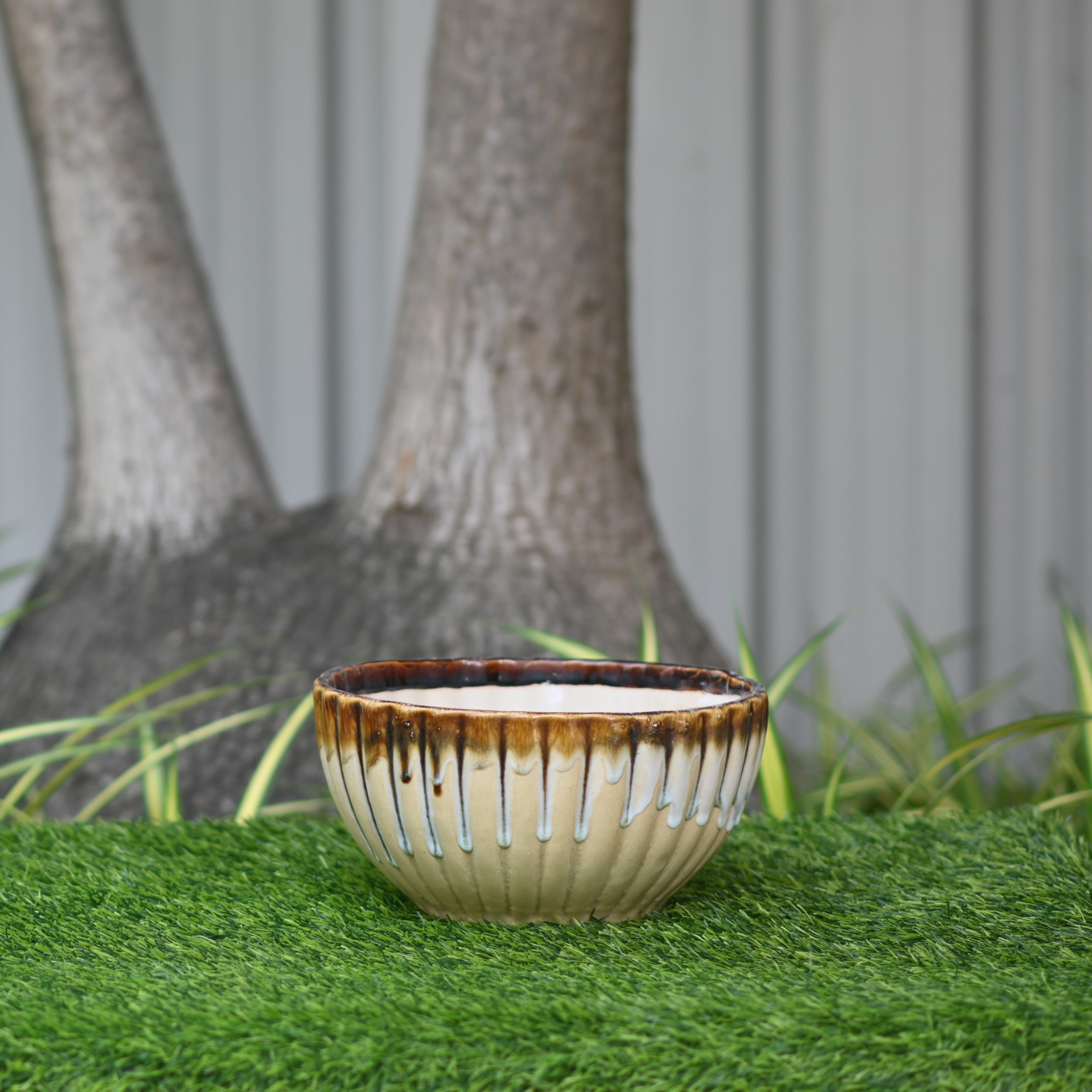 Ceramic Pond Style Pot/Planter