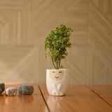 Ceramic Doll Pot/Planter For Plants
