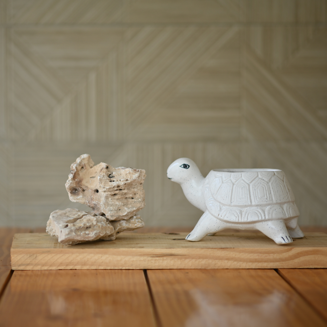 Ceramic Standing Tortoise Pot