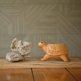 Ceramic Standing Tortoise Pot