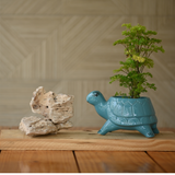 Ceramic Standing Tortoise Pot