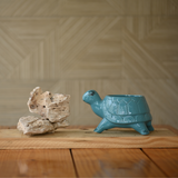 Ceramic Standing Tortoise Pot