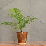 Ceramic Designer Cone Shape Leaf Design Pot, Brown