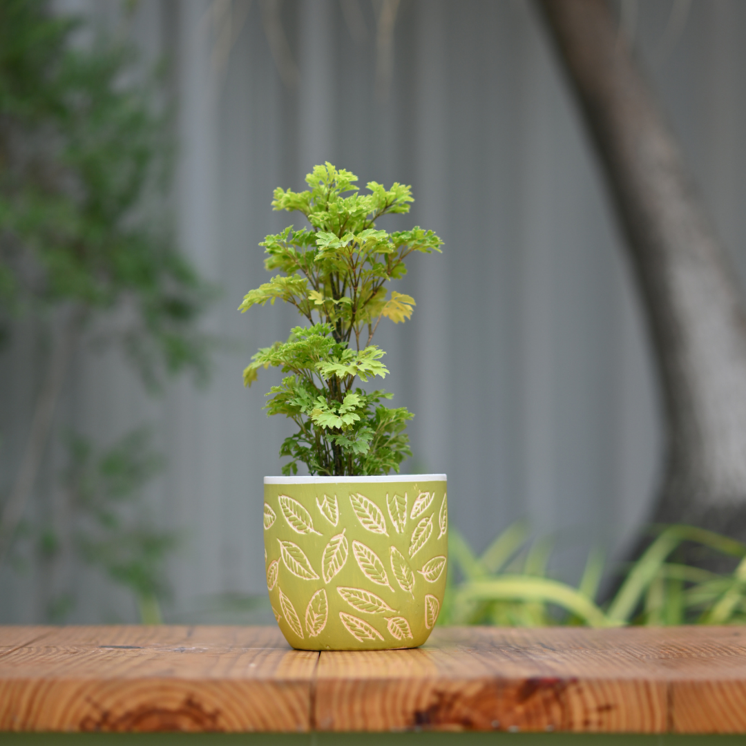 Ceramic Classic Leaf Print Pot/Planter