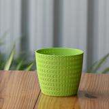 Plastic oslo 5.5' Designer Pot/ Planter- Set of 5