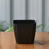 Plastic Siena 14 Pot/ Planter- Set Of 5