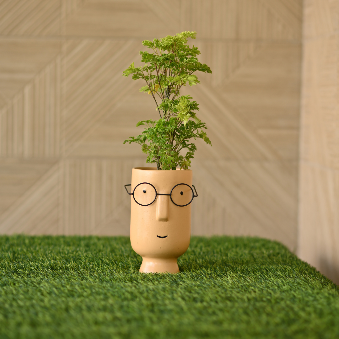 Ceramic Tall Face Pot with Spectacles