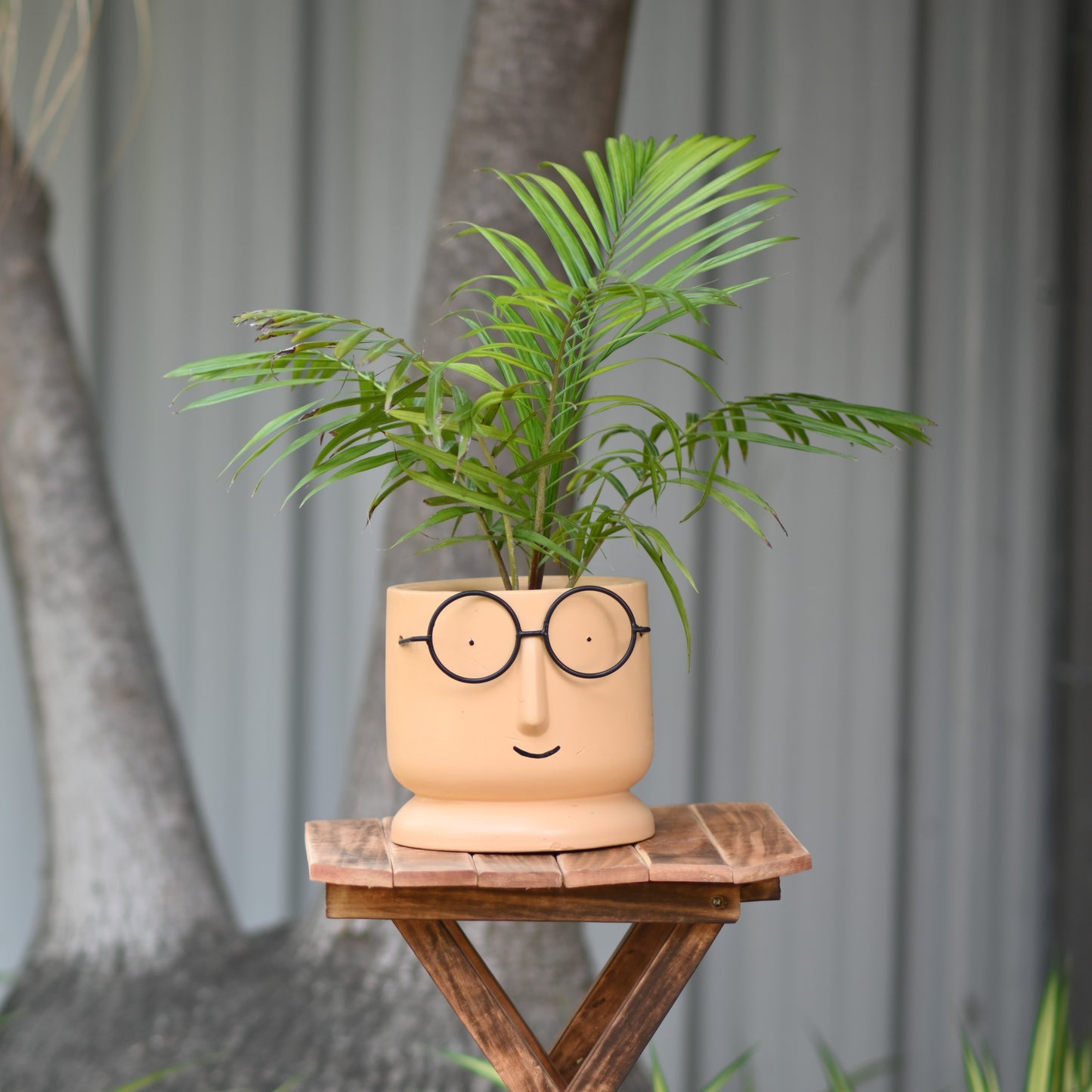 Ceramic Big Face Pot with Spectacles